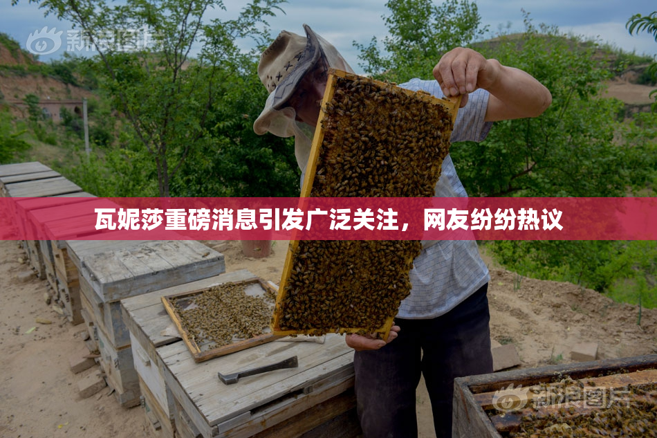 瓦妮莎重磅消息引发广泛关注，网友纷纷热议