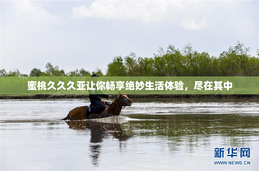 蜜桃久久久亚让你畅享绝妙生活体验，尽在其中