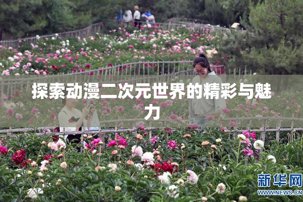 探索动漫二次元世界的精彩与魅力
