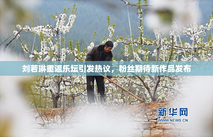 刘若琳重返乐坛引发热议，粉丝期待新作品发布