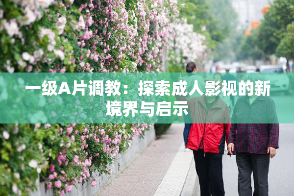一级A片调教：探索成人影视的新境界与启示