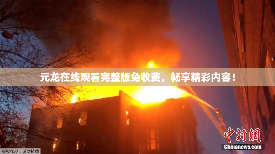 元龙在线观看完整版免收费，畅享精彩内容！