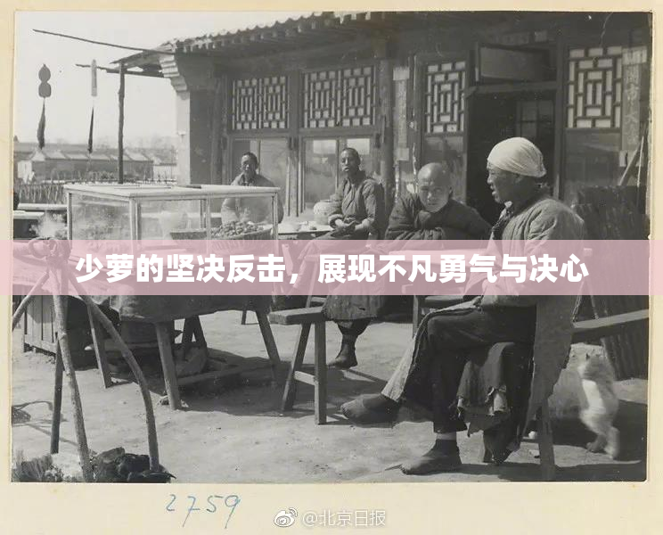 少萝的坚决反击，展现不凡勇气与决心