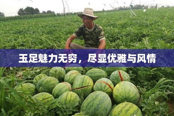 玉足魅力无穷，尽显优雅与风情