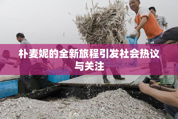 朴麦妮的全新旅程引发社会热议与关注