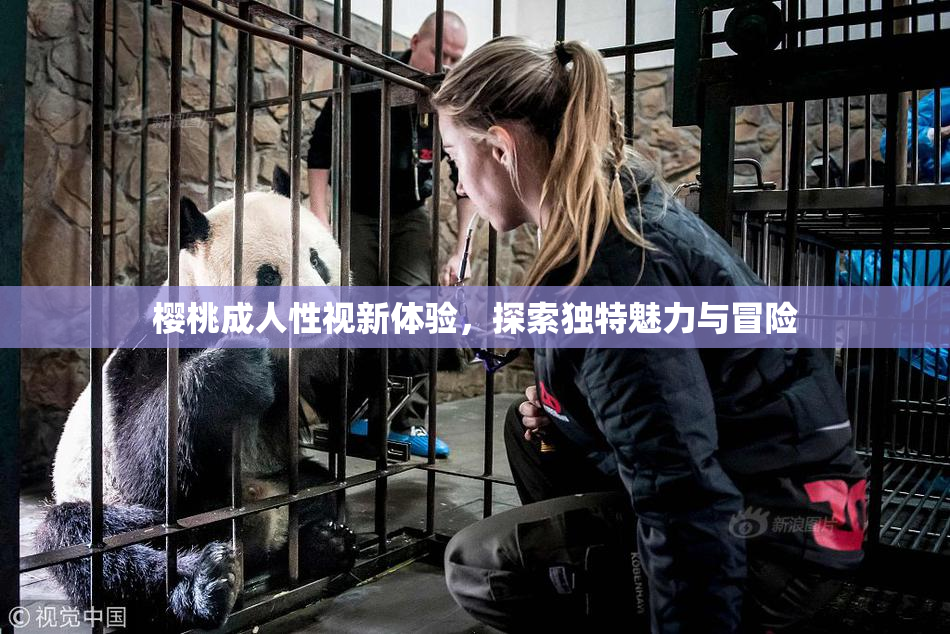 樱桃成人性视新体验，探索独特魅力与冒险