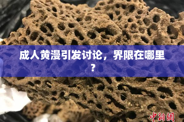 成人黄漫引发讨论，界限在哪里？
