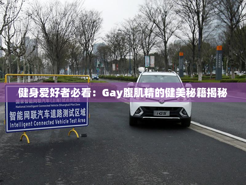 健身爱好者必看：Gay腹肌精的健美秘籍揭秘