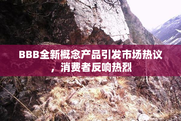 BBB全新概念产品引发市场热议，消费者反响热烈