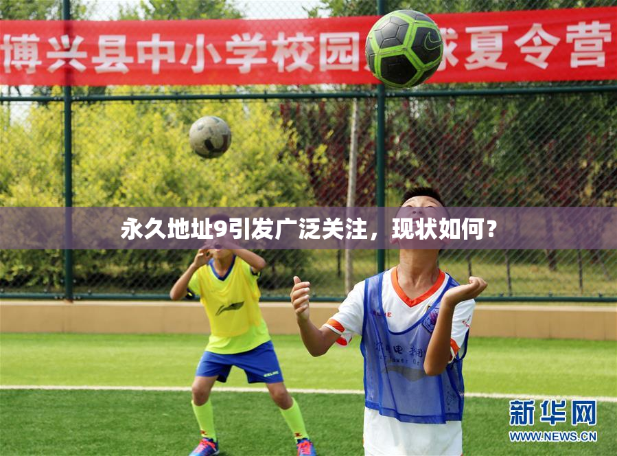 永久地址9引发广泛关注，现状如何？