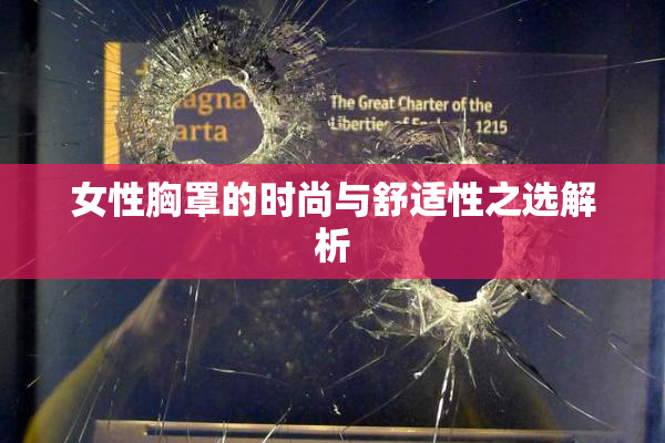 女性胸罩的时尚与舒适性之选解析