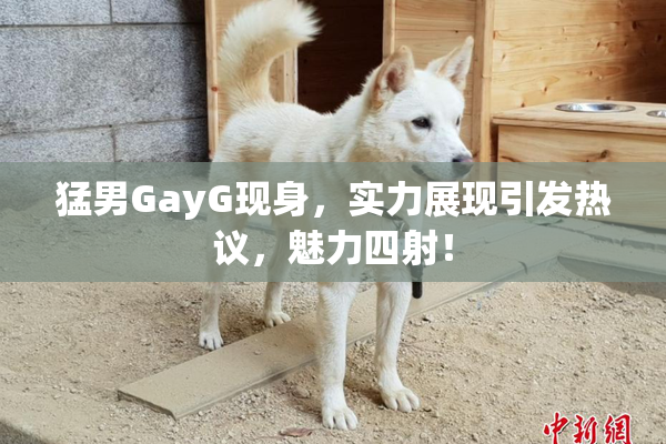 猛男GayG现身，实力展现引发热议，魅力四射！