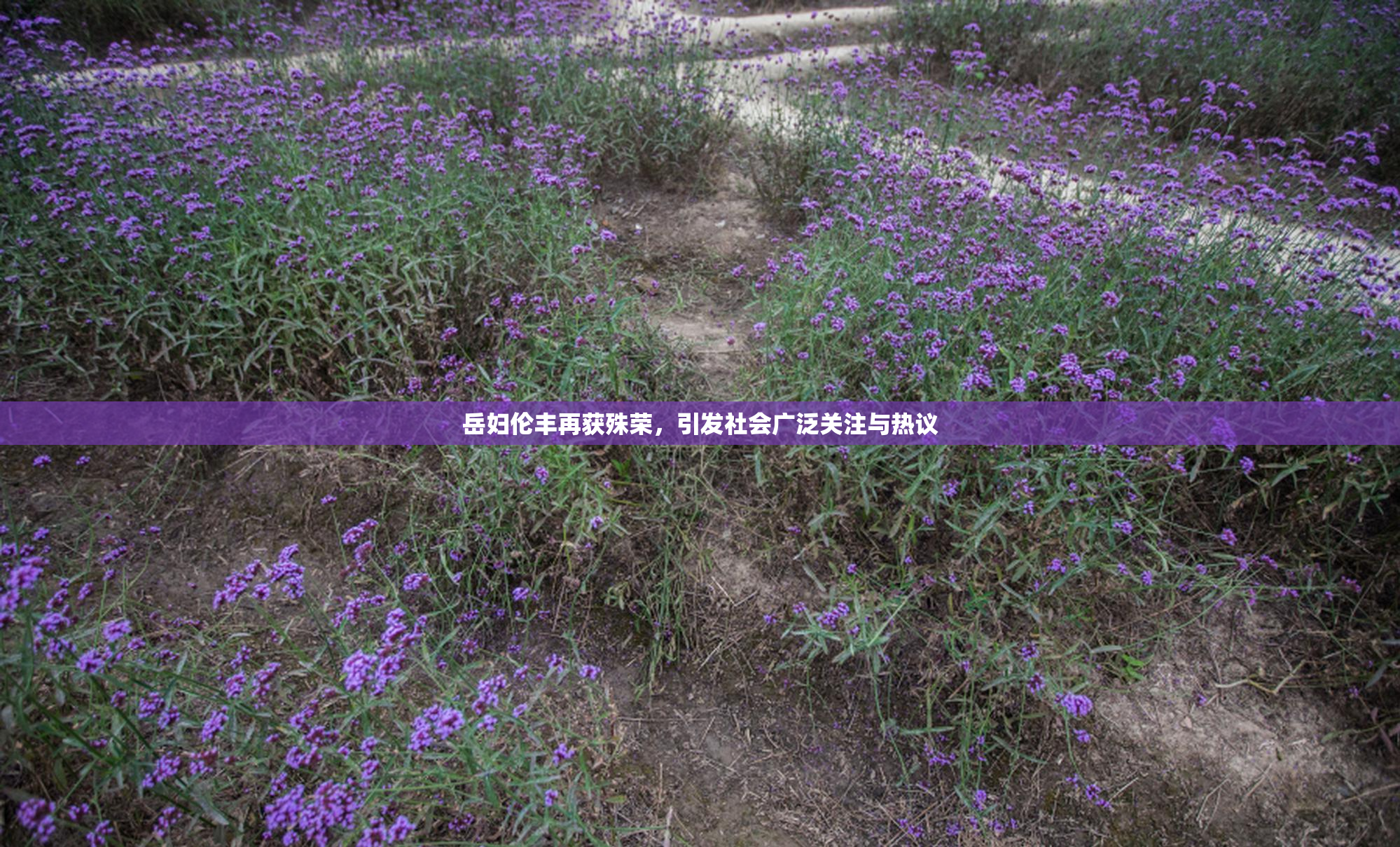 岳妇伦丰再获殊荣，引发社会广泛关注与热议