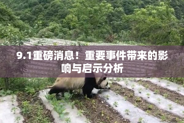 9.1重磅消息！重要事件带来的影响与启示分析