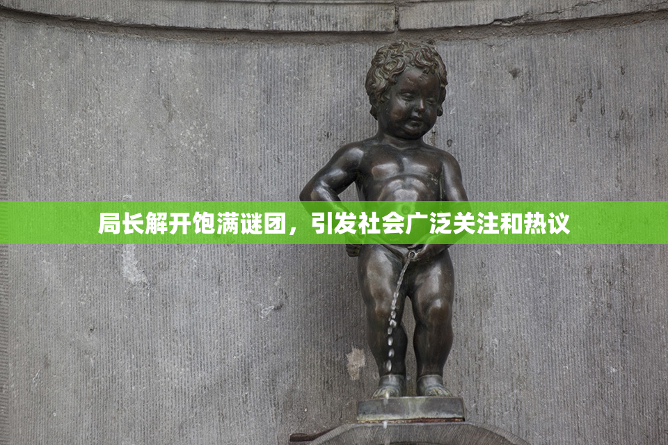 局长解开饱满谜团，引发社会广泛关注和热议