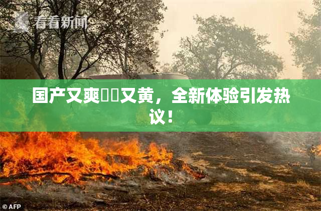 国产又爽❌‌又黄，全新体验引发热议！