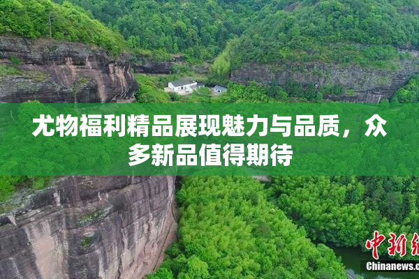 尤物福利精品展现魅力与品质，众多新品值得期待