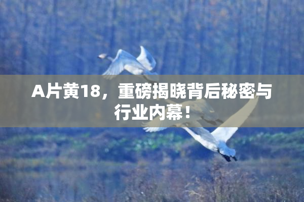 A片黄18，重磅揭晓背后秘密与行业内幕！