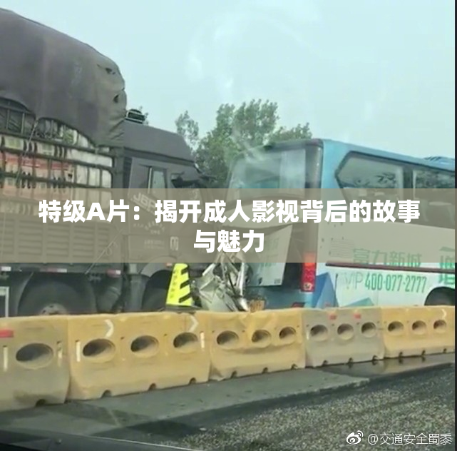 特级A片：揭开成人影视背后的故事与魅力