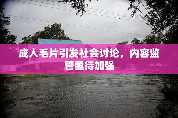 成人毛片引发社会讨论，内容监管亟待加强