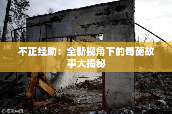 不正经助：全新视角下的奇葩故事大揭秘