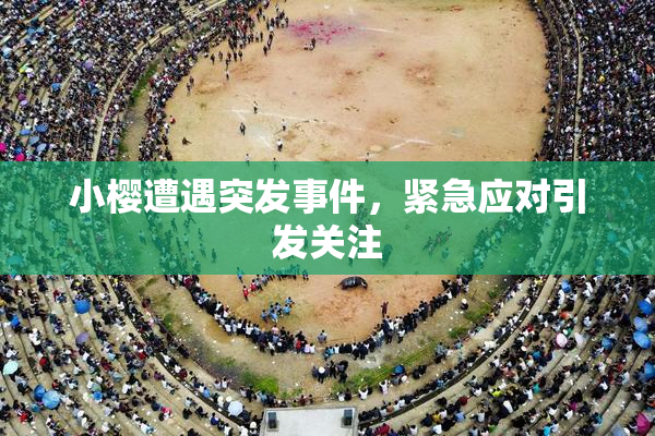 小樱遭遇突发事件，紧急应对引发关注