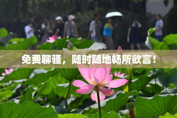 免费聊骚，随时随地畅所欲言！