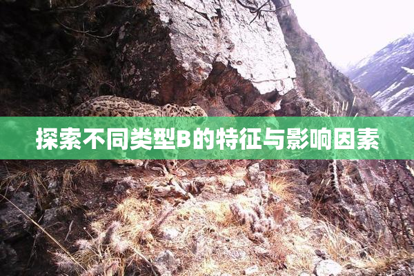 探索不同类型B的特征与影响因素