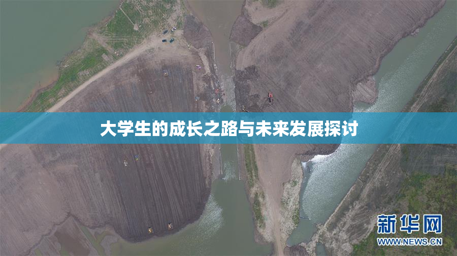 大学生的成长之路与未来发展探讨