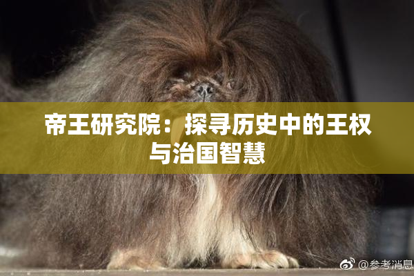帝王研究院：探寻历史中的王权与治国智慧