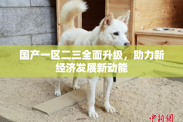 国产一区二三全面升级，助力新经济发展新动能