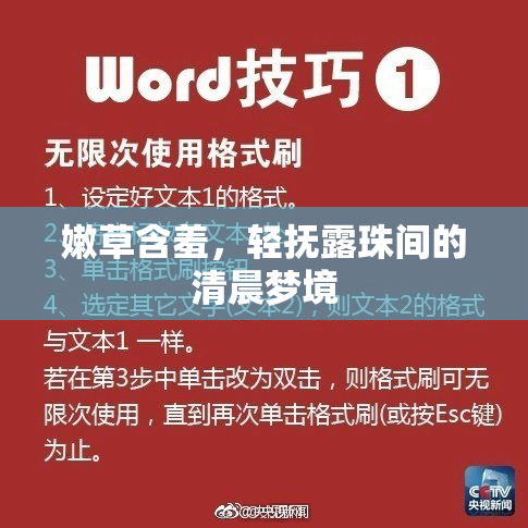 嫩草含羞，轻抚露珠间的清晨梦境
