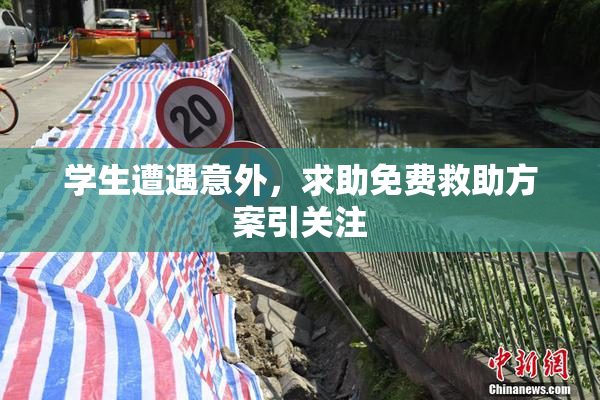 学生遭遇意外，求助免费救助方案引关注