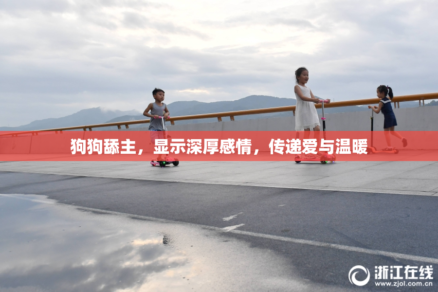 狗狗舔主，显示深厚感情，传递爱与温暖