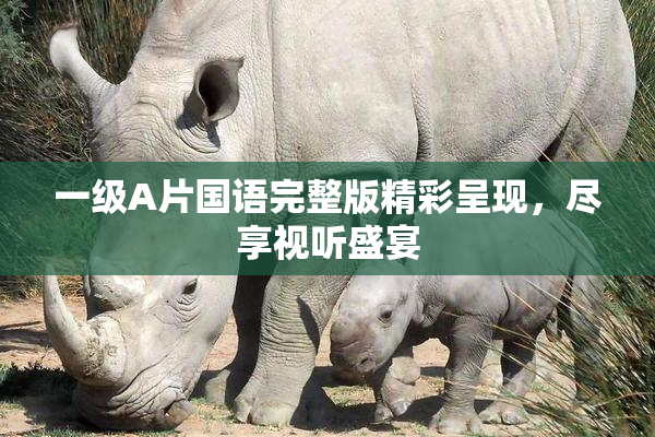一级A片国语完整版精彩呈现，尽享视听盛宴