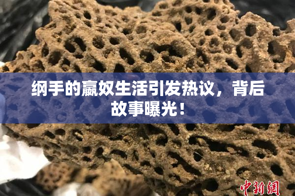 纲手的嬴奴生活引发热议，背后故事曝光！