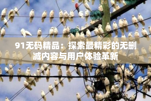 91无码精品：探索最精彩的无删减内容与用户体验革新
