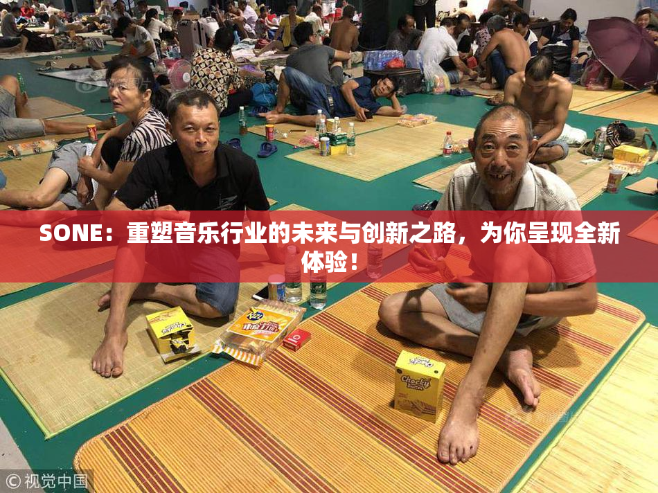 SONE：重塑音乐行业的未来与创新之路，为你呈现全新体验！