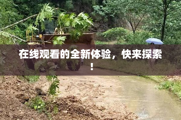 在线观看的全新体验，快来探索！