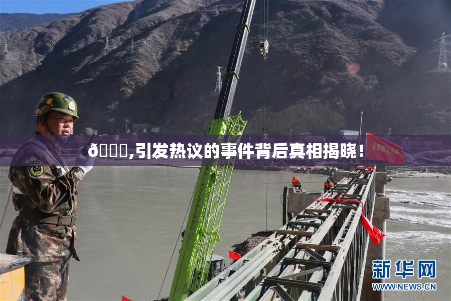 🈚,引发热议的事件背后真相揭晓！