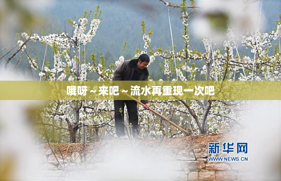 哦呀～来吧～流水再重现一次吧
