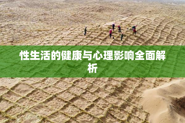性生活的健康与心理影响全面解析