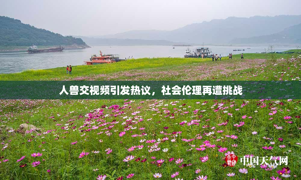 人兽交视频引发热议，社会伦理再遭挑战