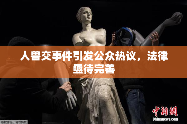 人兽交事件引发公众热议，法律亟待完善