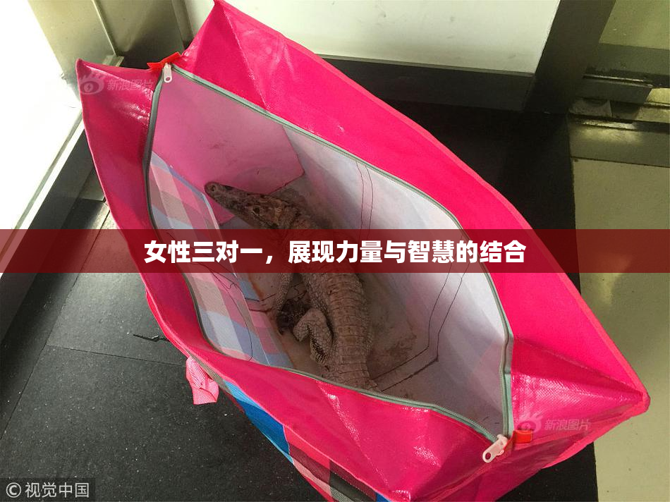 女性三对一，展现力量与智慧的结合