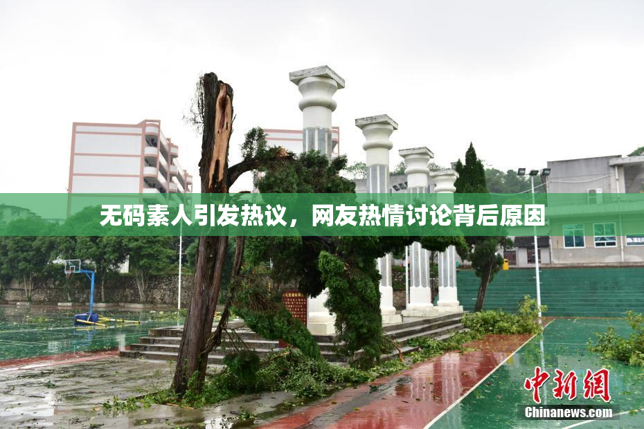 无码素人引发热议，网友热情讨论背后原因