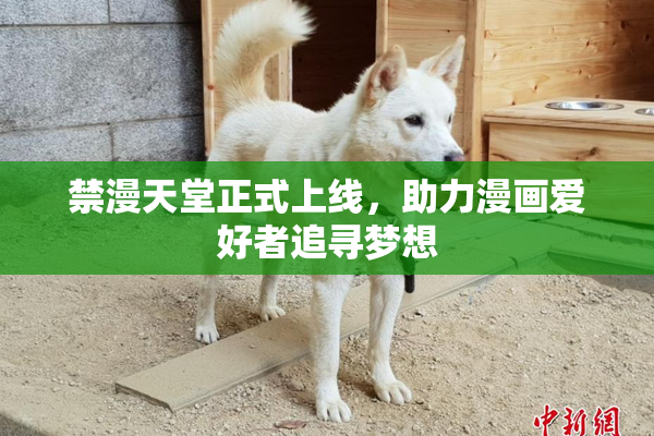 禁漫天堂正式上线，助力漫画爱好者追寻梦想