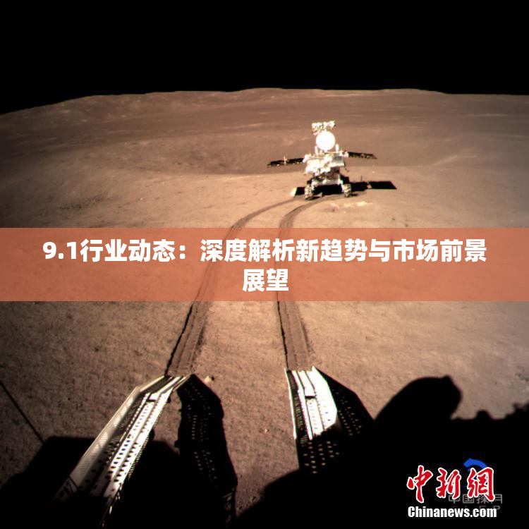 9.1行业动态：深度解析新趋势与市场前景展望