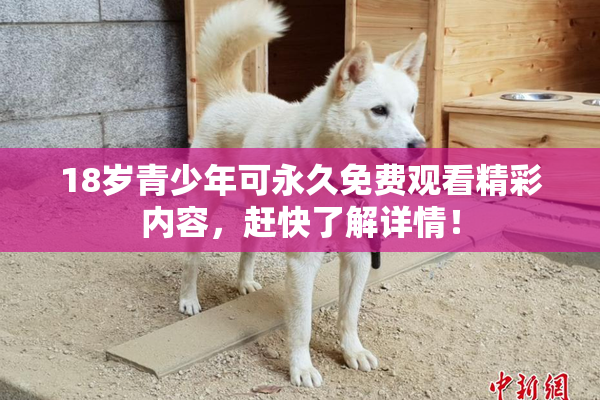 18岁青少年可永久免费观看精彩内容，赶快了解详情！