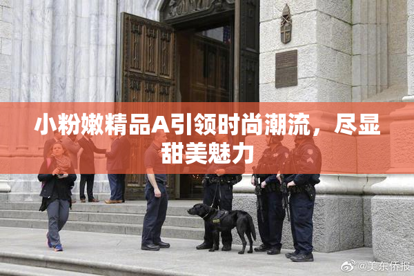 小粉嫩精品A引领时尚潮流，尽显甜美魅力